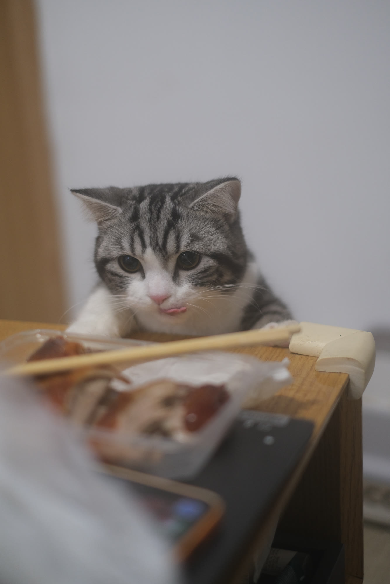 从置物架旁探头的猫